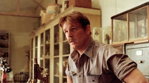 Die Straße der Ölsardinen Bild 1