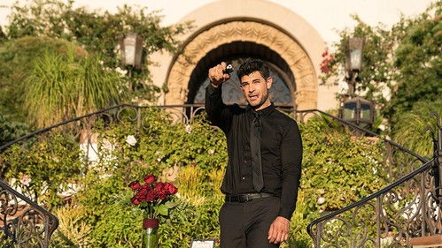 He Loved Them All Bild 1