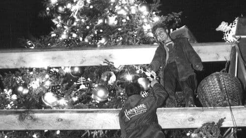 The National Christmas Tree, A Century of Celebration Bild 8