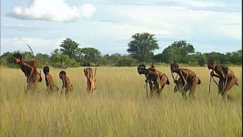 Le monde selon Tippi Bild 7