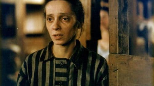 Zastihla mě noc Bild 1