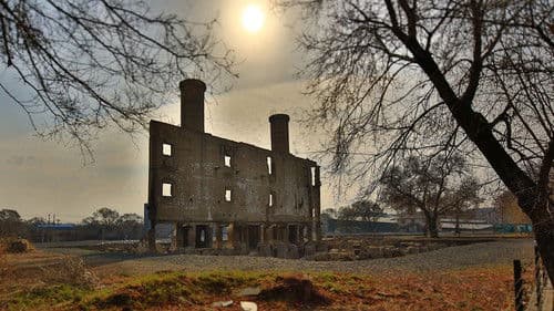 Nazi Weird War Two Bild 1