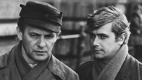 Stajnia na Salvatorze Bild 1