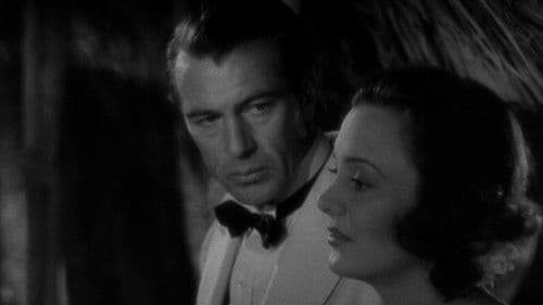 Verrat im Dschungel Bild 4