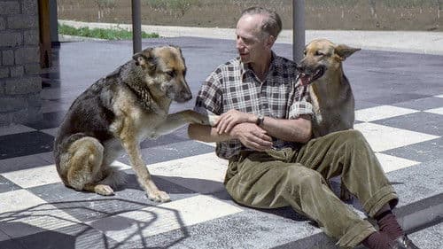 Colonia Dignidad - Aus dem Innern einer deutschen Sekte Bild 1