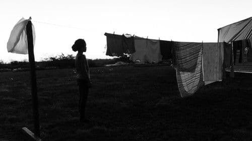 Dança dos Vagalumes Bild 6