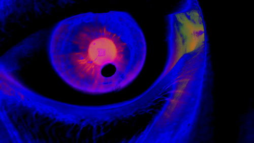 Denomination: Dread Bild 1