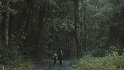 Light from Light Bild 6