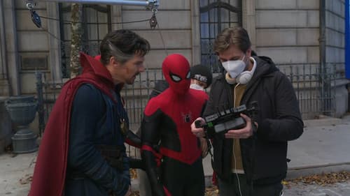 Spider-Man: All Roads Lead to No Way Home Bild 6