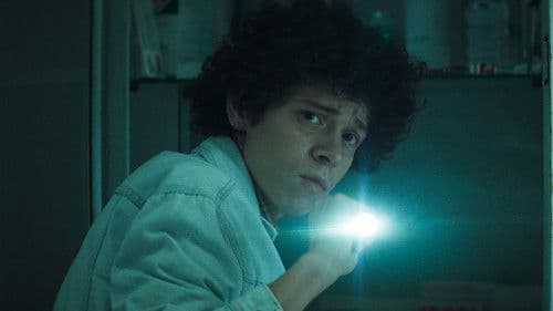 Sonhar com Leões Bild 5