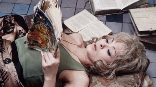 Vražda ing. Čerta Bild 4