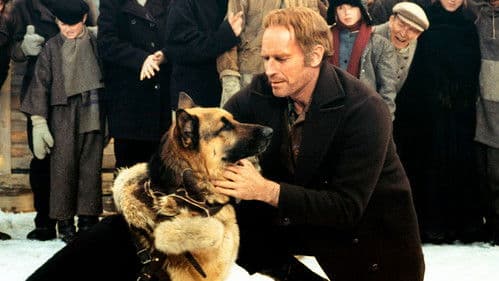 Ruf der Wildnis Bild 7