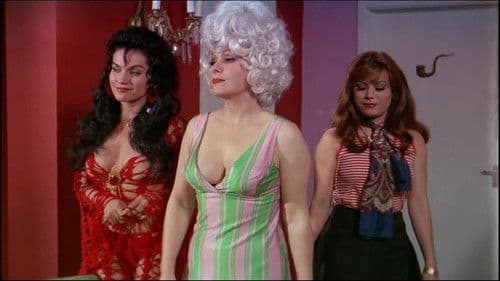 Bellas De Noche Bild 3