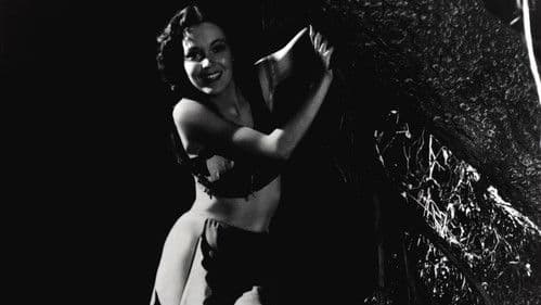 Tarzans Vergeltung Bild 3