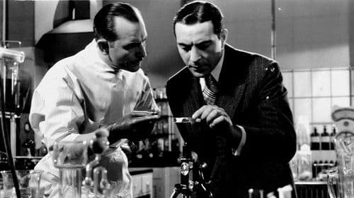 Thirteen Women Bild 4