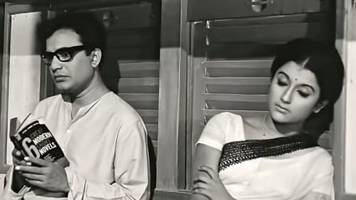 এখানে পিঞ্জর Bild 1