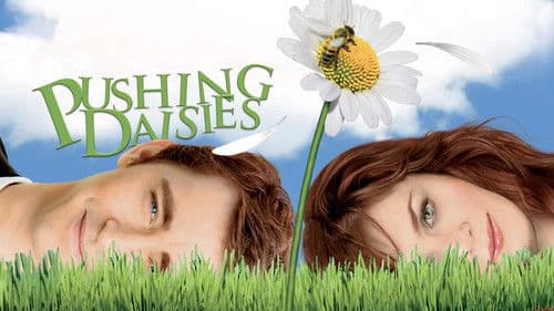 Pushing Daisies Bild 7