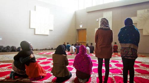 Homegrown: The Counter-Terror Dilemma Bild 2