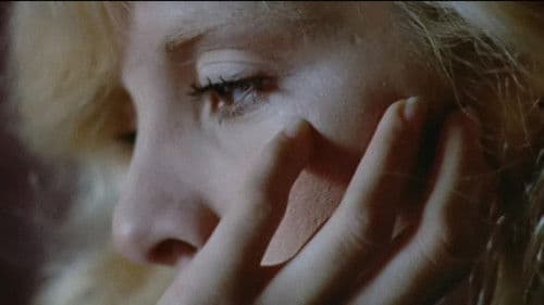 Sylvie Vartan, vous et moi Bild 2