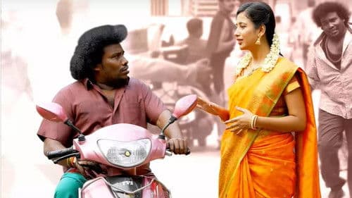 காக்டெய்ல் Bild 1