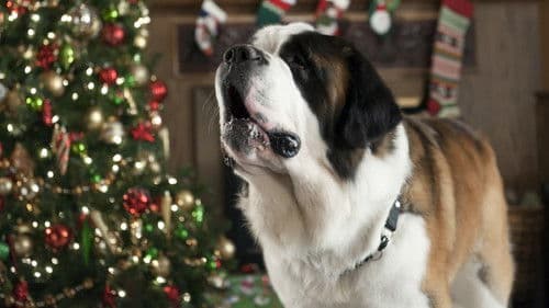 Beethovens abenteuerliche Weihnachten Bild 2