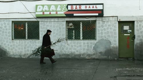 A fost sau n-a fost? Bild 3