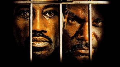 Undisputed - Sieg ohne Ruhm Bild 4