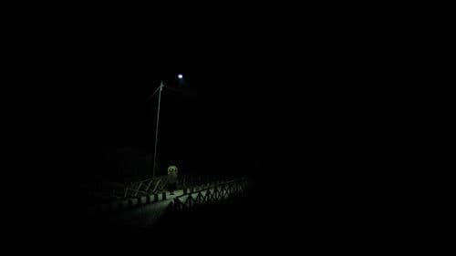 AA-PROXIMA-SUN Bild 4