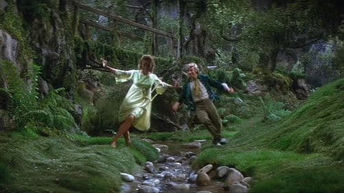 Der goldene Regenbogen Bild 6