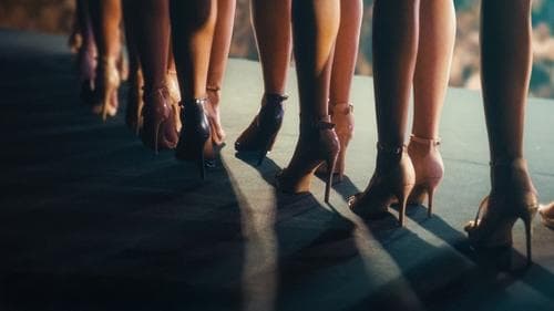 Miss Italia non deve morire Bild 1