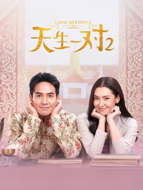 天生一对2优酷版