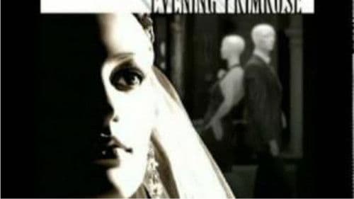 Evening Primrose Bild 4