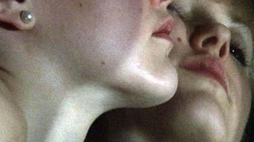 The Sun and the Moon Bild 1