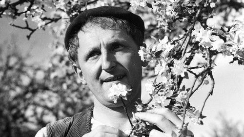 Monsieur Tugendsam Bild 1