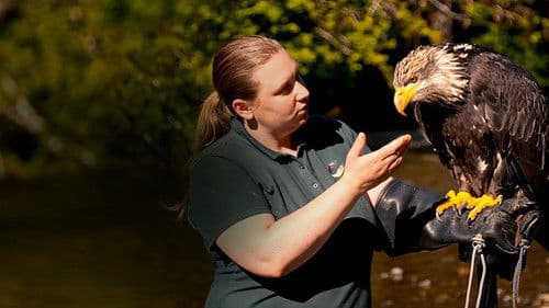 Alaskas Wildtier-Retter Bild 4