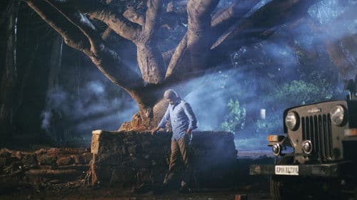 జెస్సీ Bild 5