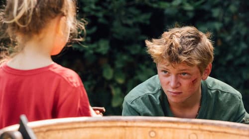 Könige des Sommers Bild 7