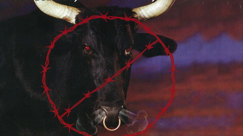 WCW Spring Stampede 1998 Bild 1