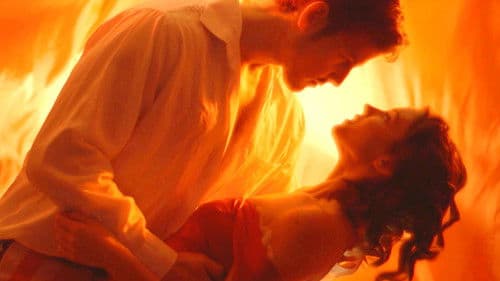 The Concessionaires Must Die! Bild 1