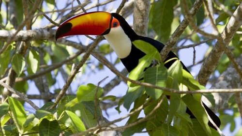 Die Tricks des Überlebens Bild 6