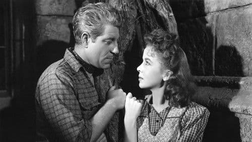 Nacht im Hafen Bild 5