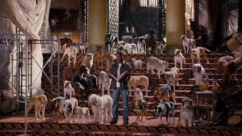 Das Hundehotel Bild 3