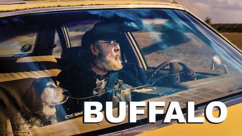 Buffalo Bild 1