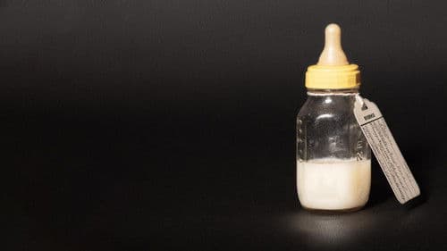 The Salt Babies Bild 1