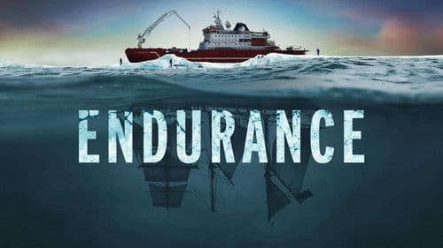 Endurance - Das Wrack im Eis Bild 5
