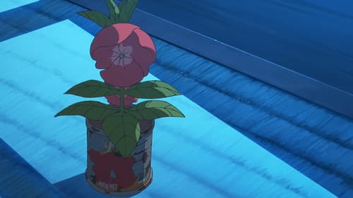 ホウセンカ Bild 4