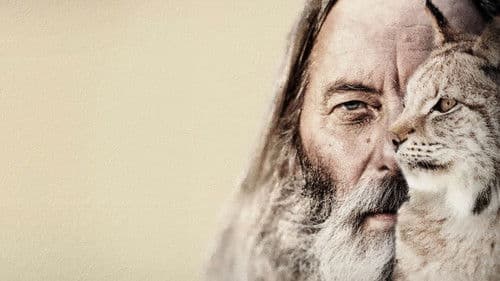 Ilveskuiskaaja Bild 2