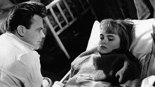 Die Nächte der Birgit Malmström Bild 2