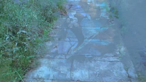 pedra de jardim Bild 2