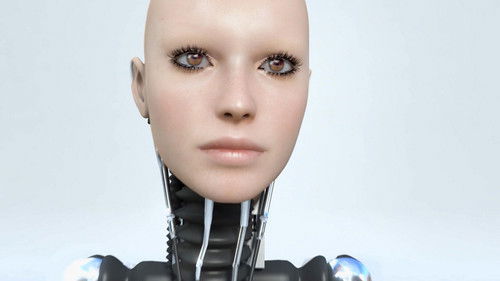 How to Build a Human Bild 1